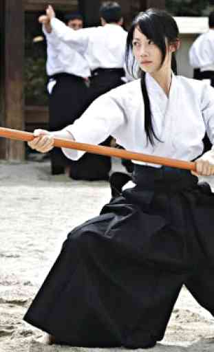 Aprenda aikido e autodefesa. Artes marciais 2