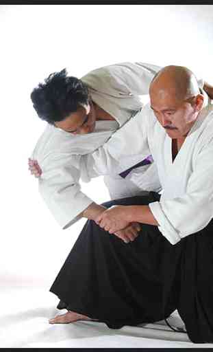 Aprenda aikido e autodefesa. Artes marciais 4