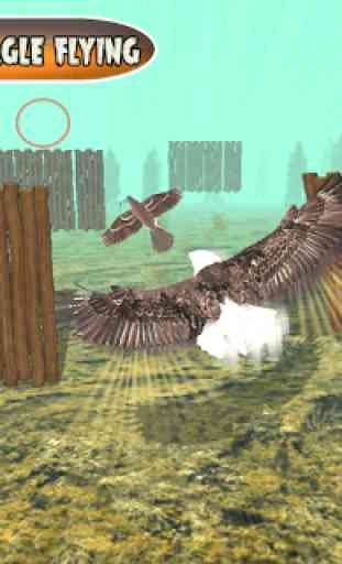 Bird Chase Mania: Eagle Hunt Endless Flying 4