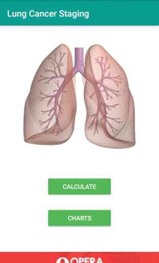 Lung Cancer Staging 8th Edition 1