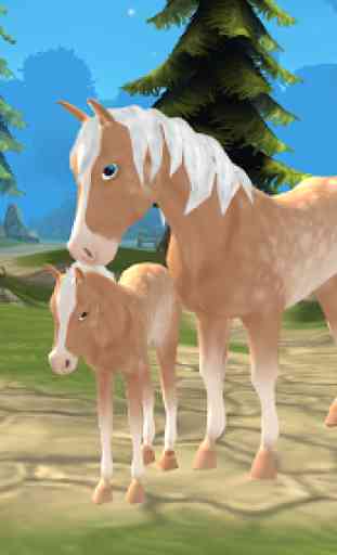 Paraíso dos Cavalos - A Fazenda dos Sonhos 3