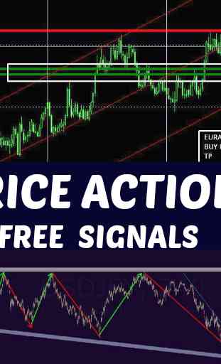 Price Action Signal 2