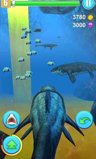 Simulador de Tubarões 1