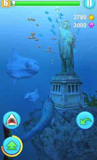 Simulador de Tubarões 4