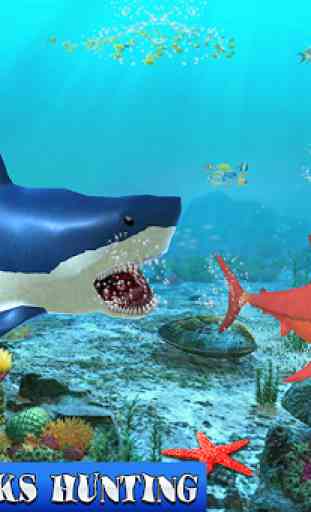 Tubarão grande vs pequenos tubarões 1