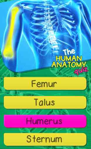 Anatomia E Fisiologia Humana Teste Quiz 1
