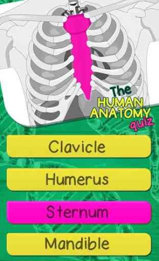 Anatomia E Fisiologia Humana Teste Quiz 4