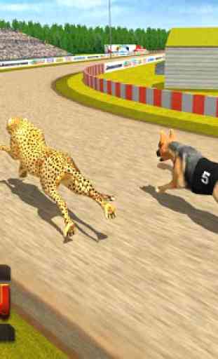 Animal competindo campeonato 3D 4