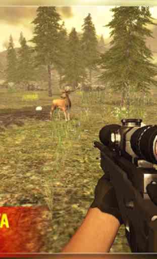 Animal Hunting Sniper 2017 - Jungle Safari Gun 2