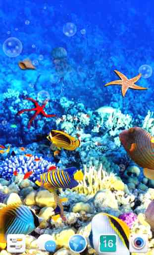 Aquarium Fish Live Wallpaper 2019 1