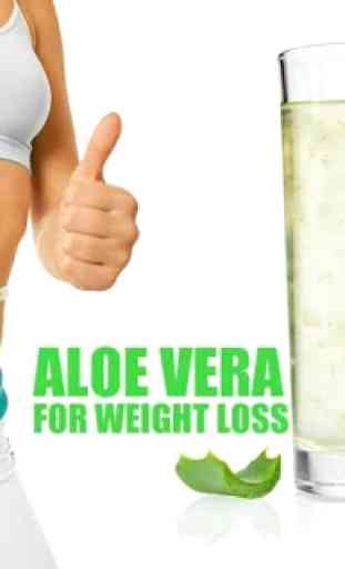 Benefícios da Aloe Vera 1