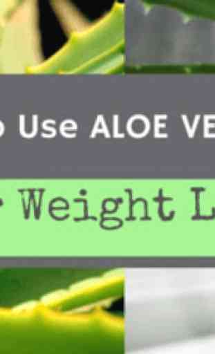 Benefícios de Aloe Vera 3