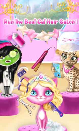 Cat Hair Salon Birthday Party - Virtual Kitty Care 3