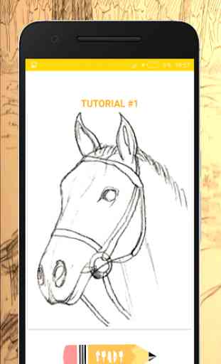 Como Desenhar Cavalos 2