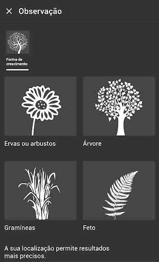 Flora Incognita - identificação de plantas 2