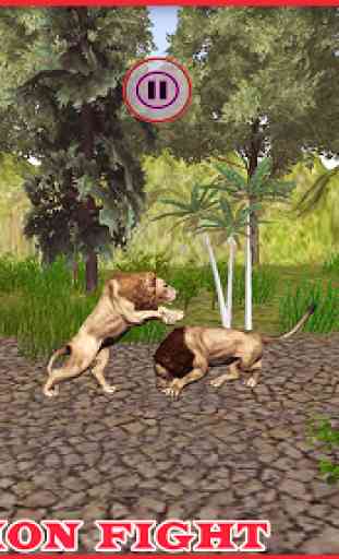 Lions Africano Pk Luta 4