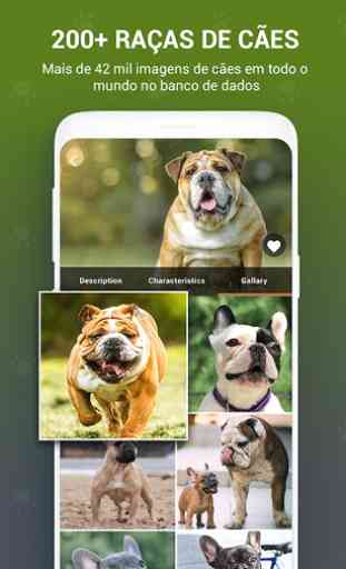 Livro cão: identificador raça scanner cão app foto 2