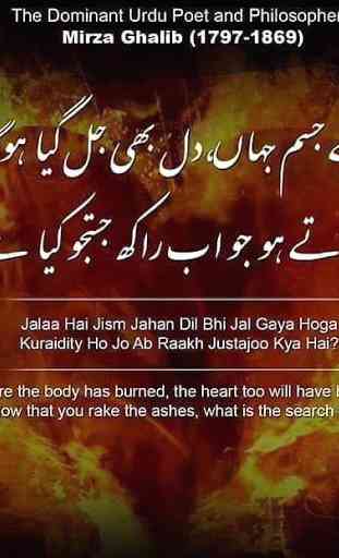 Mirza Ghalib Poetry 1