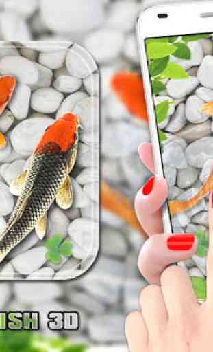 peixe viver papel de parede  aquário koi Plano de 1