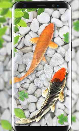 peixe viver papel de parede  aquário koi Plano de 4