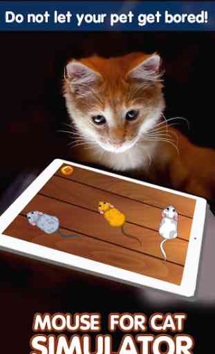 Rato para Cat Simulator 2