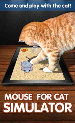Rato para Cat Simulator 4
