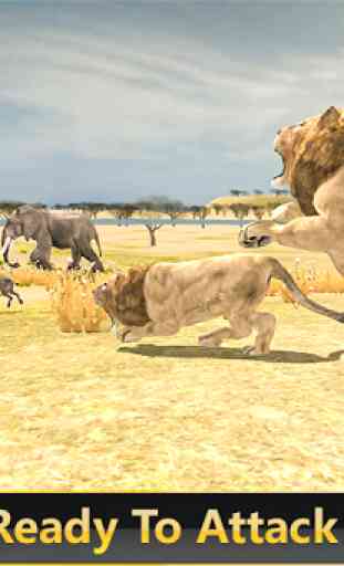 Simulador de safari de leão selvagem 3d 2