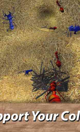 Simulador de sobrevida de formigas 2