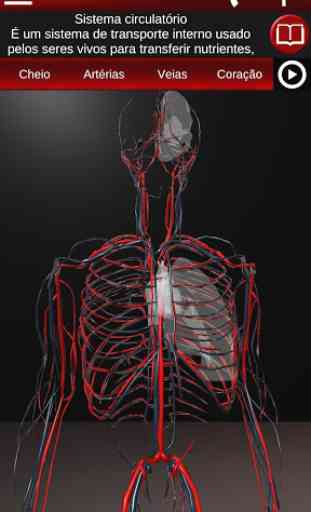 Sistema Circulatório em 3D (Anatomia) 1