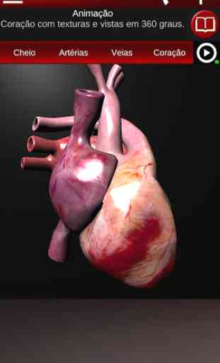 Sistema Circulatório em 3D (Anatomia) 2