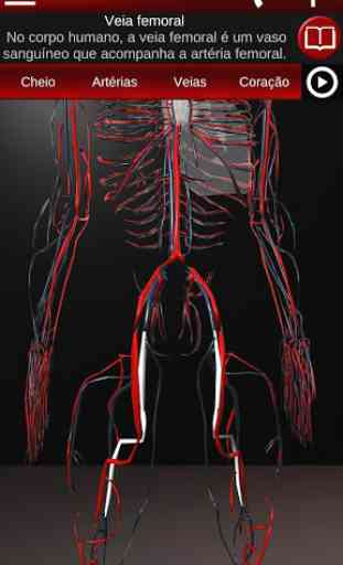 Sistema Circulatório em 3D (Anatomia) 4