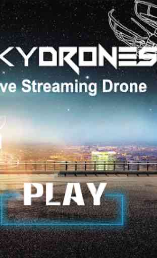 Sky Drone 1