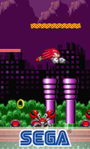 Sonic the Hedgehog™ Classic 4