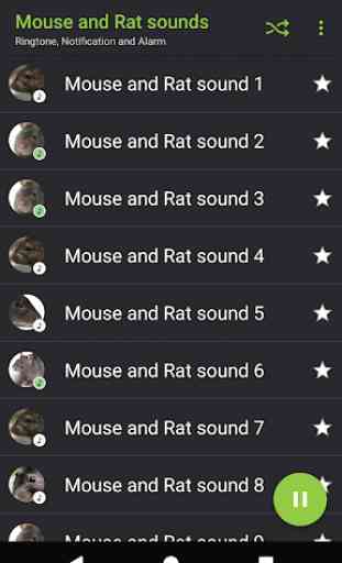 sons rato eo rato - Appp.io 2