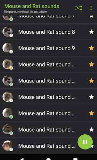 sons rato eo rato - Appp.io 3