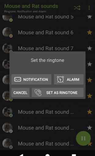 sons rato eo rato - Appp.io 4