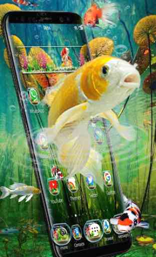 Tema de peixes 3D Aquarium Koi 1