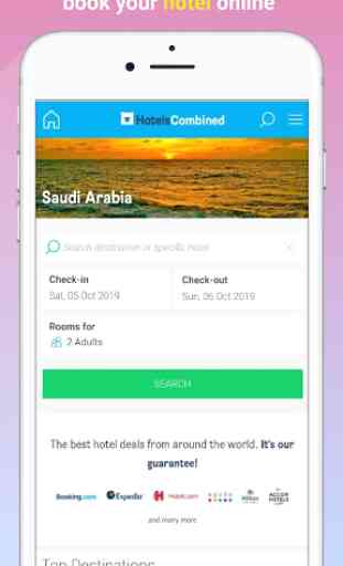 Visa Saudi Arabia 4