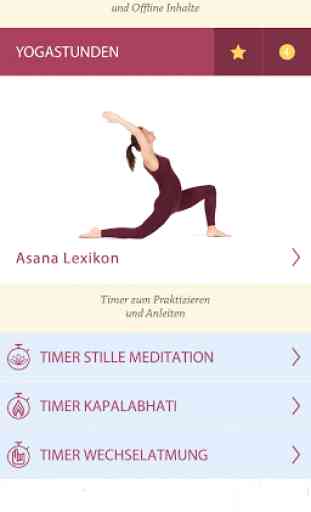 Yoga Vidya 2.0 1