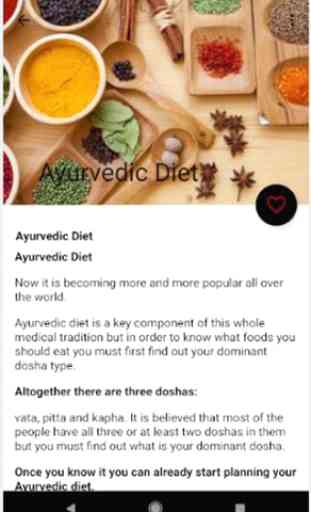 Ayurvedic Diet - Ayurvedic Foods - Ayurvedic Meals 2