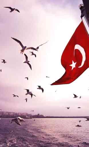 Bandeira Turquia Wallpapers 4