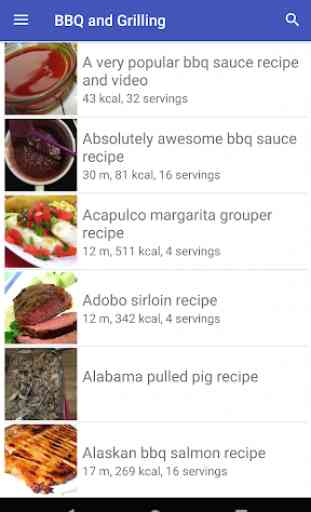 BBQ & Grilling recipes for free app offline 2