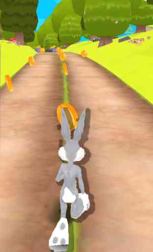 Bunny Jungle: Dash Toons Rabbit 3