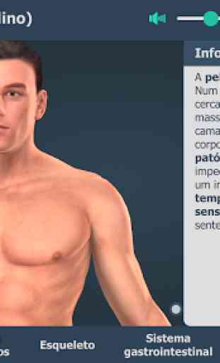 Corpo humano (masculino) 3D educacional RV 2