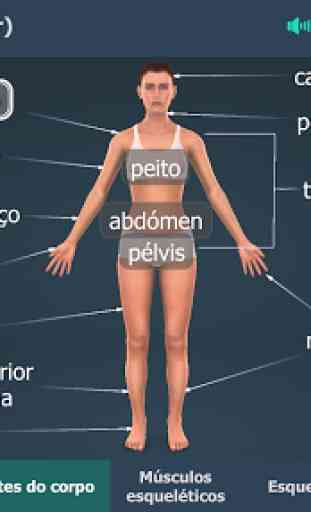 Corpo humano (mulher) 3D educacional RV 3