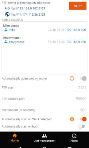 FTP Server - Multiple FTP users 1