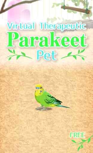 Parakeet Pet 1