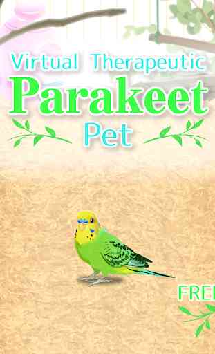 Parakeet Pet 4