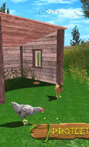 Simulador de família de galinha 2