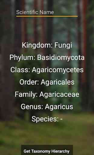 Taxonomy 2